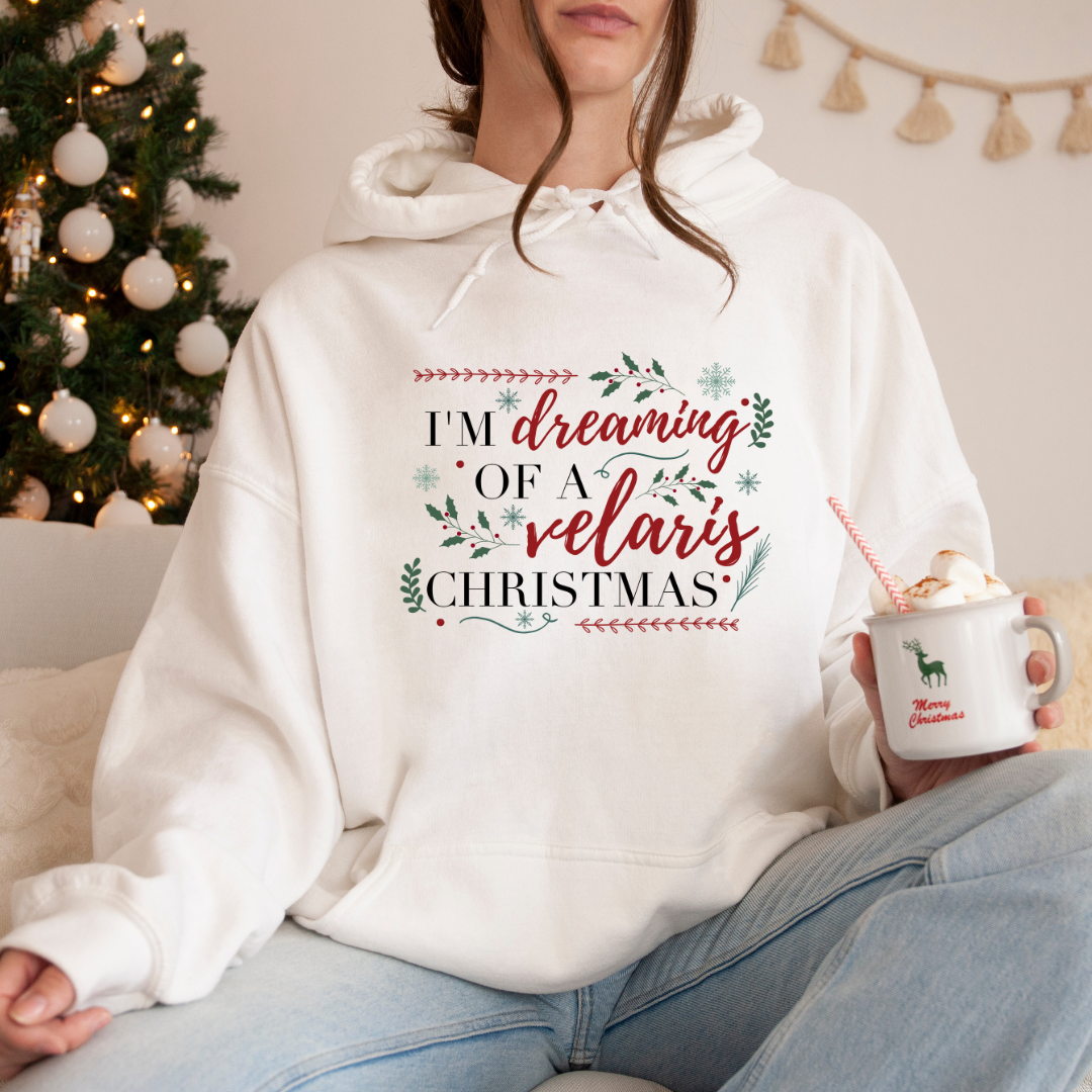 Velaris Christmas Hooded Sweatshirt